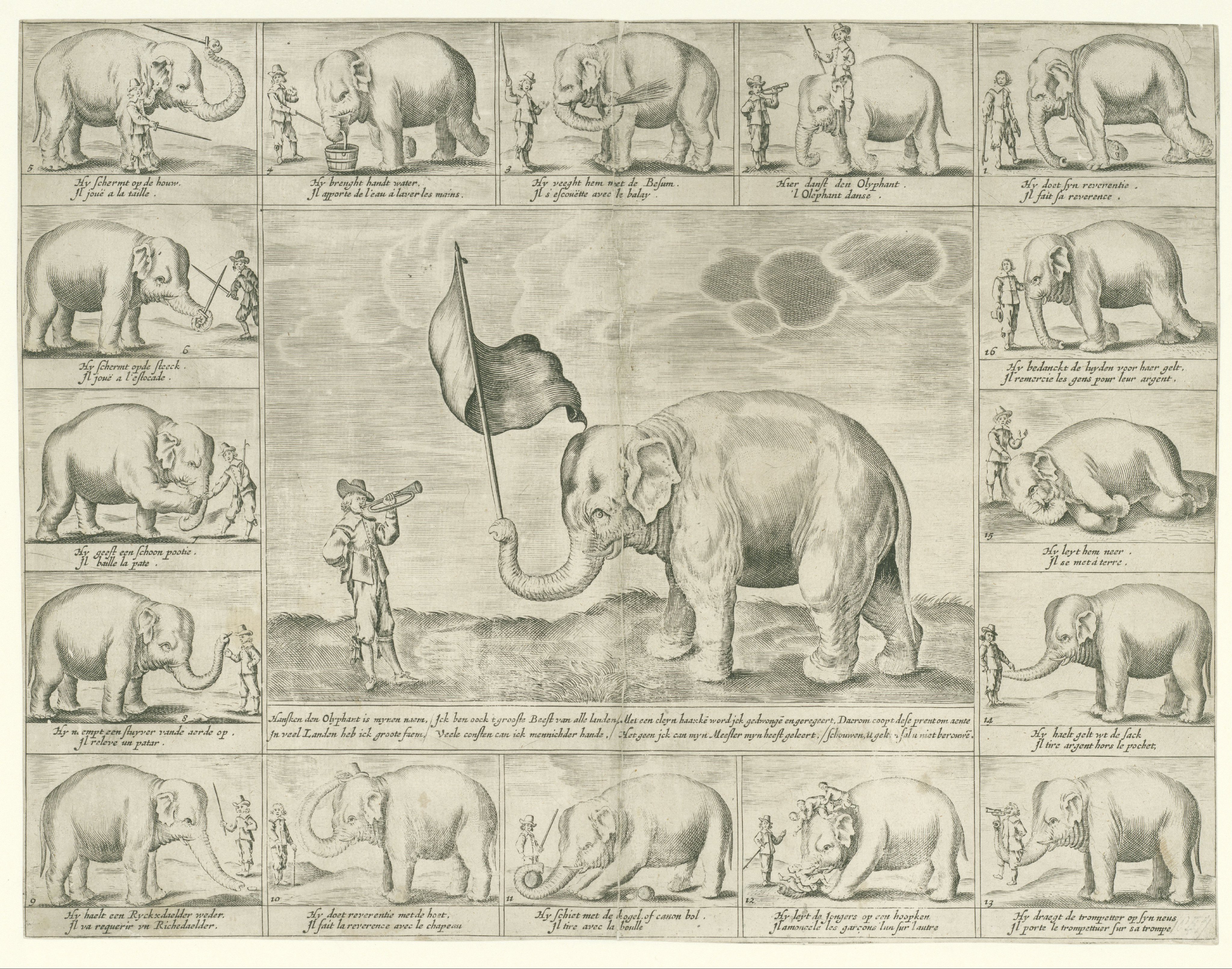 Hansken, anoniem ca 1650